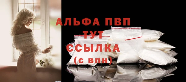 Альфа ПВП Гусев