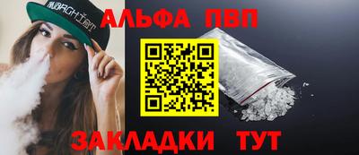 стаф Гай