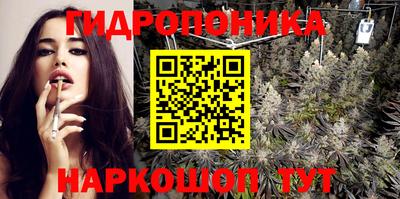 стаф Гай