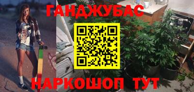 стаф Гай