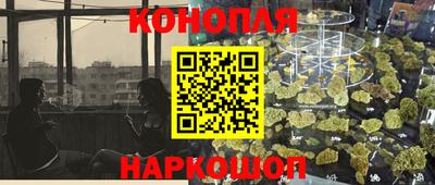 стаф Гай