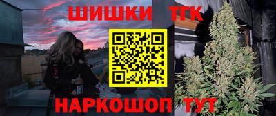 стаф Гай