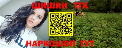 стаф Гай