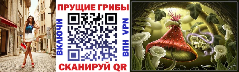 Псилоцибиновые грибы MAGIC MUSHROOMS  где купить   MEGA   Наро-Фоминск 