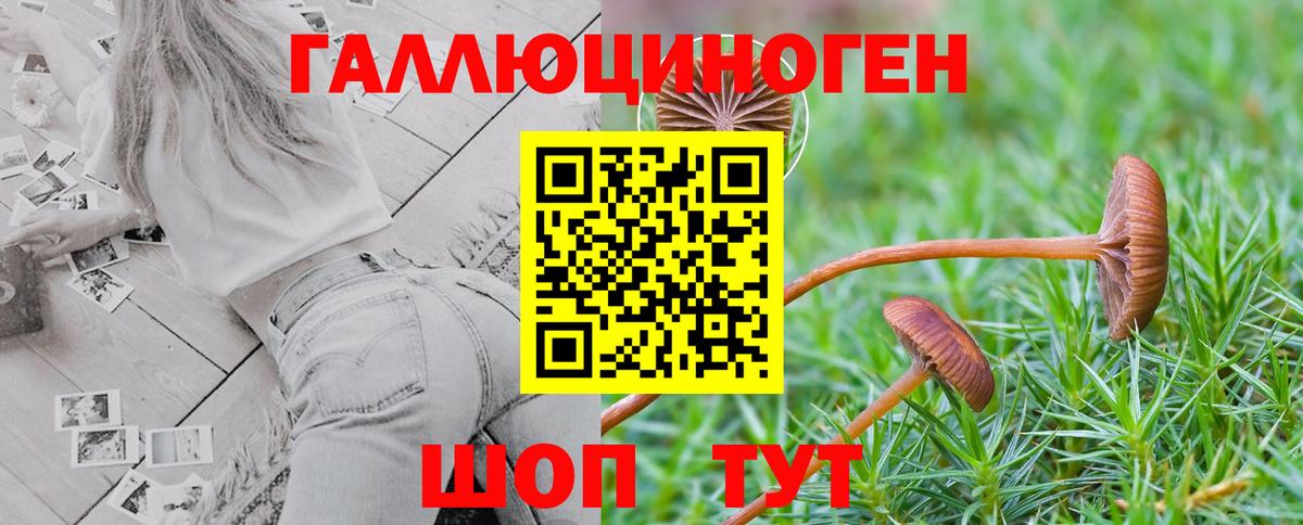 Галлюциногенные грибы Psilocybe Наро-Фоминск
